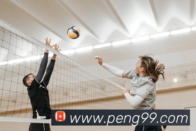 多媒体互动体验