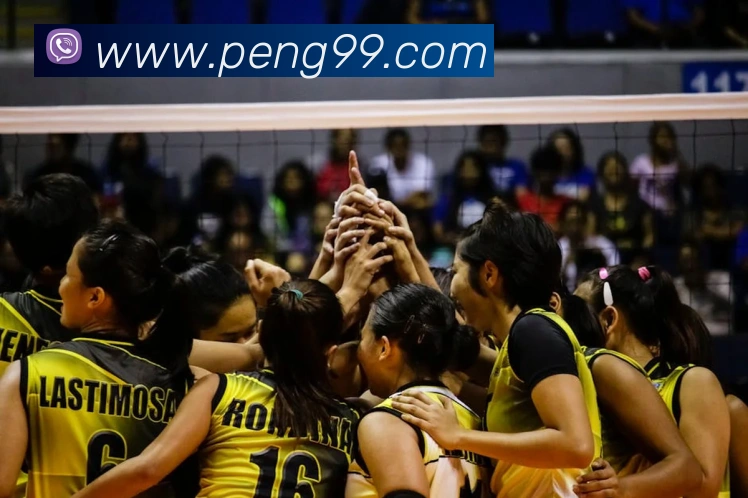 k1电子官网APP 高清赛事图